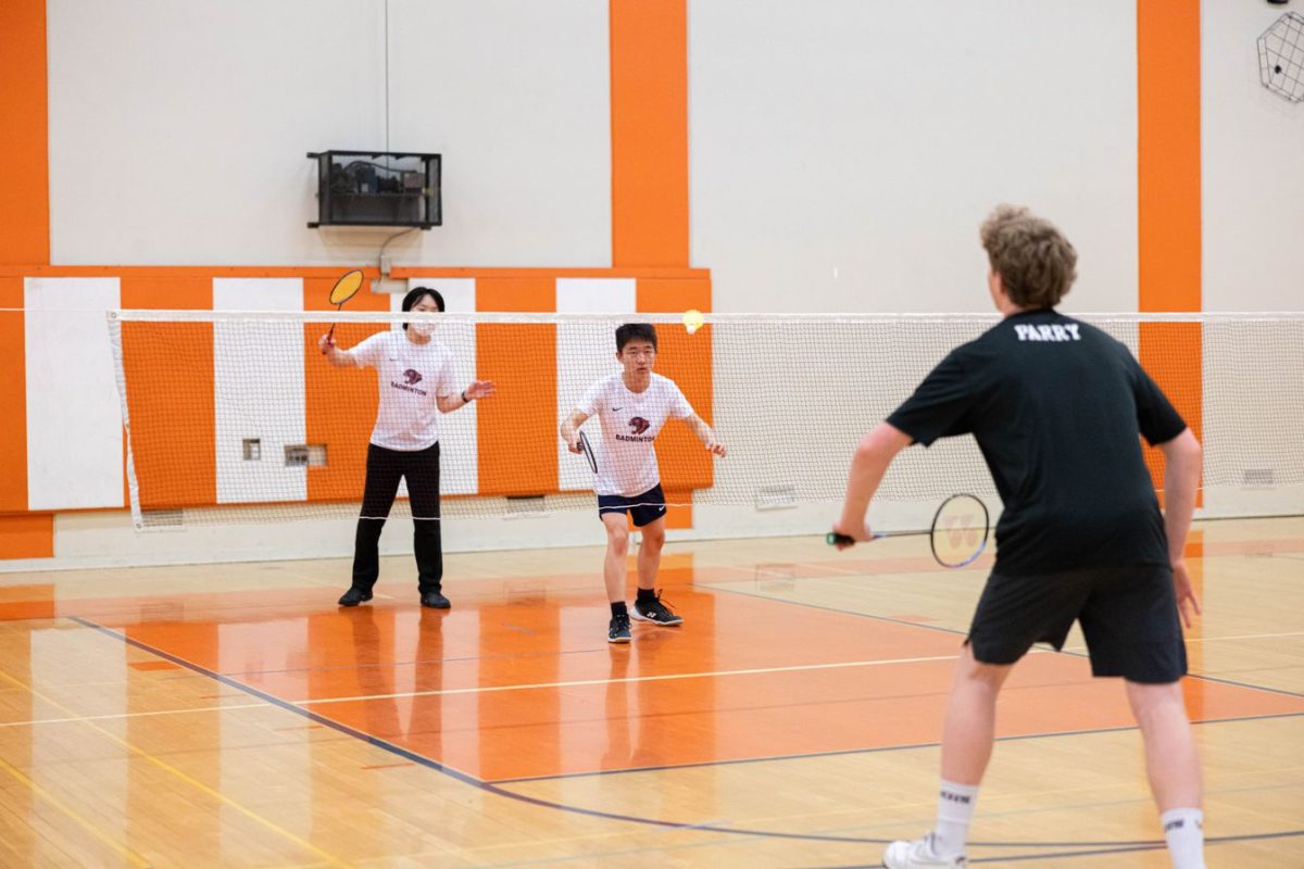 Rebuilding season offers promise for badminton program