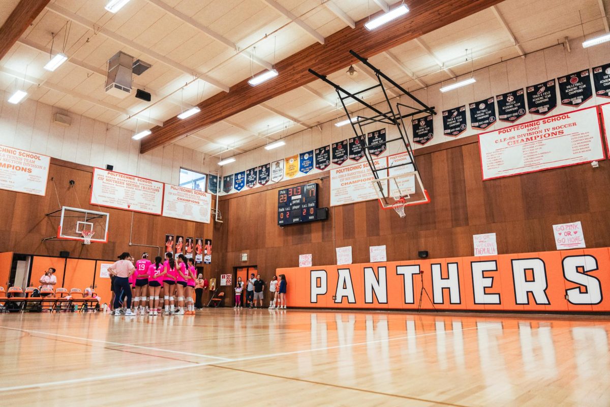 A game in photos: Dig Pink