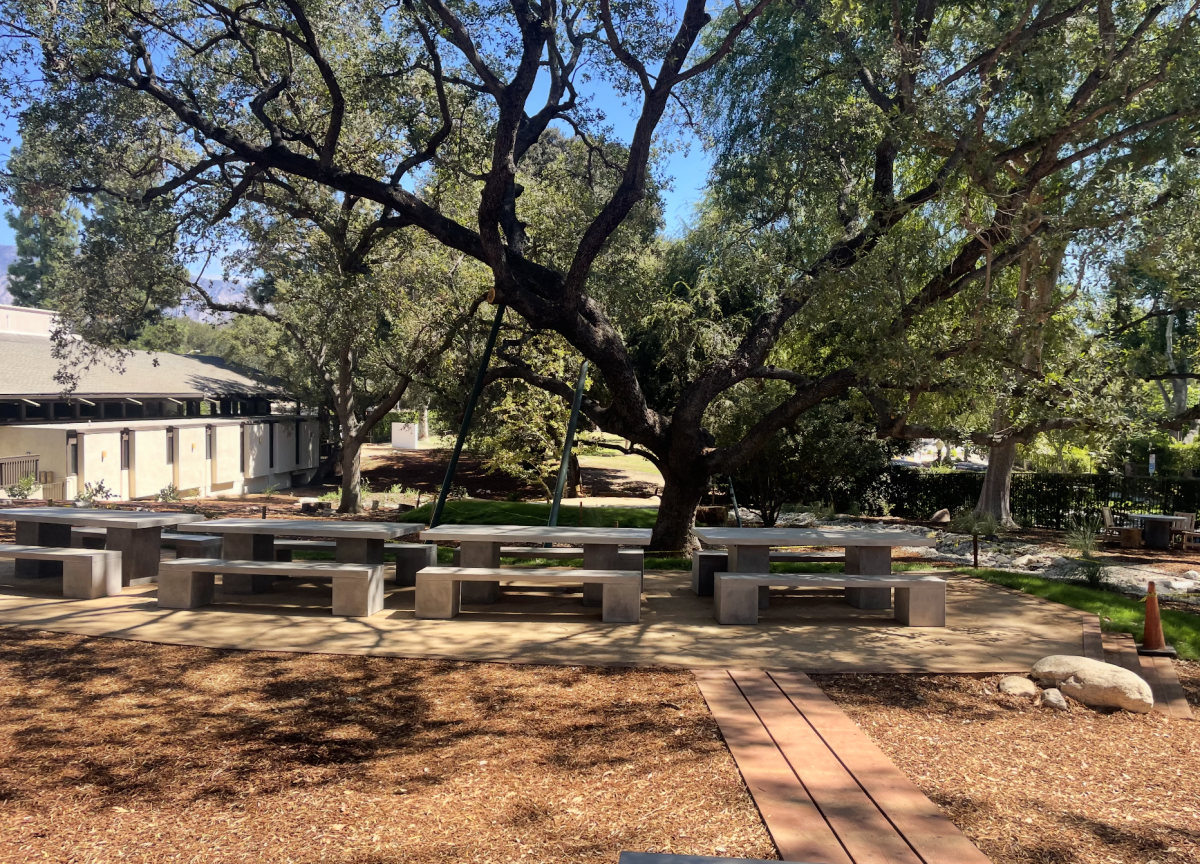 Poly unveils a new arden lawn