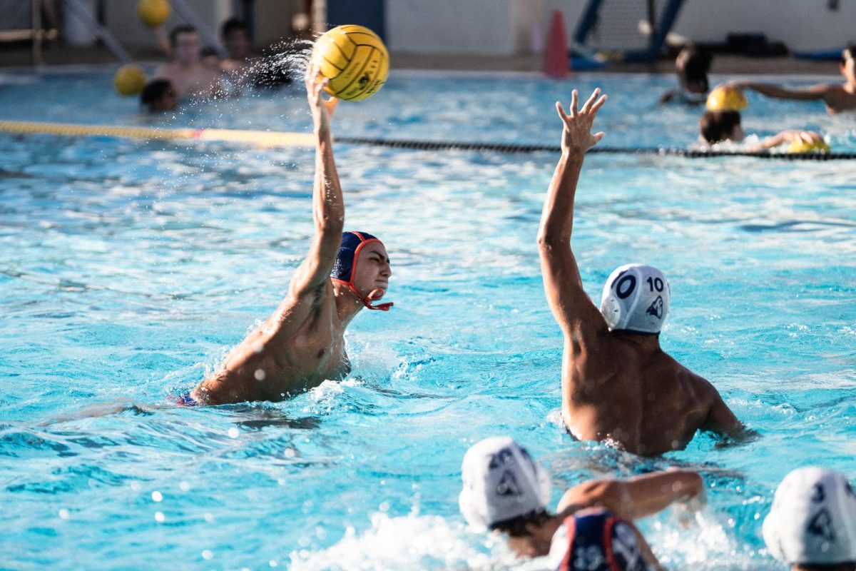Water polo dives towards playoffs